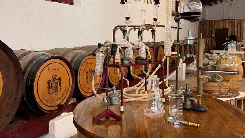 March 7 Guided tour of the wine and furniture industries in Yecla