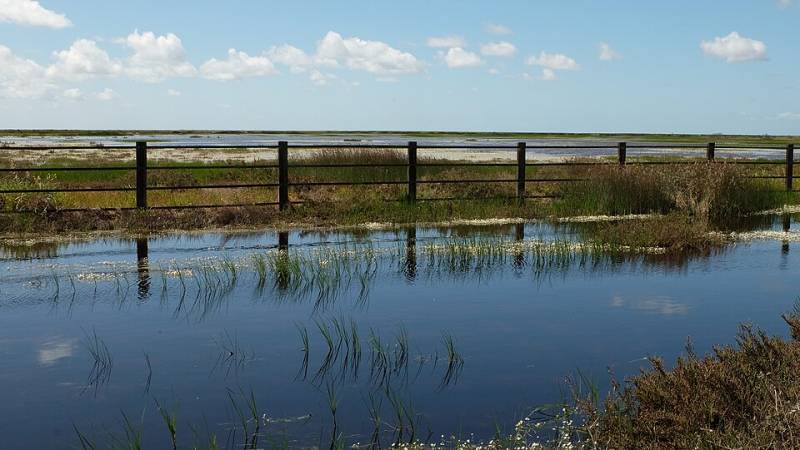 Doñana's future at risk as environmentalists clash with government over wetland boundaries