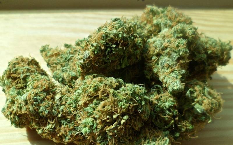 Andalucía's anti-drugs push widens after Isla Mayor shoot-out