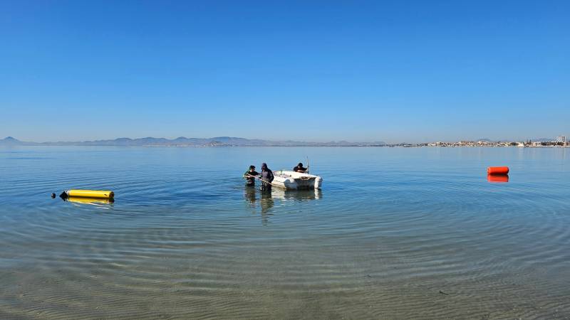 Coastal algae and seagrass removal finally begins in Águilas and Los Alcázares 