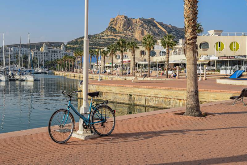 Six Alicante towns earn national cycling seal as La Vuelta recognises Spain's most bike-friendly municipalities