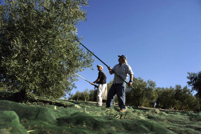 Southern Spain is becoming a desert. One company is using innovative organic farming techniques to turn that around (and make delicious almonds at the same time!)