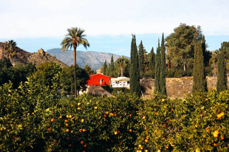 The Ricote Valley, where visiting and being there mean connecting