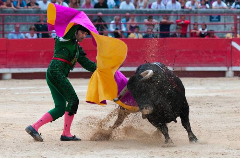 Bullfighting could spread to more towns across Andalucia under proposed new rules