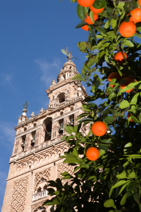 An introduction to the province of Seville
