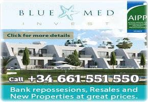 Bluemed Invest Murcia Today Home page center