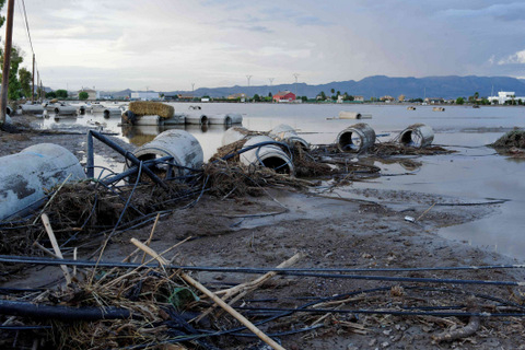 <span style='color:#780948'>ARCHIVED</span> - Murcia floods, thousands of animals have died