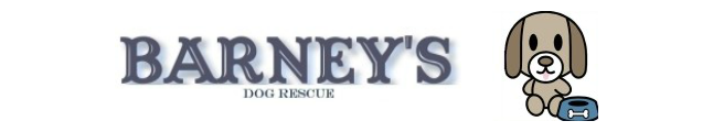 Barneys Dog Rescue Alicante