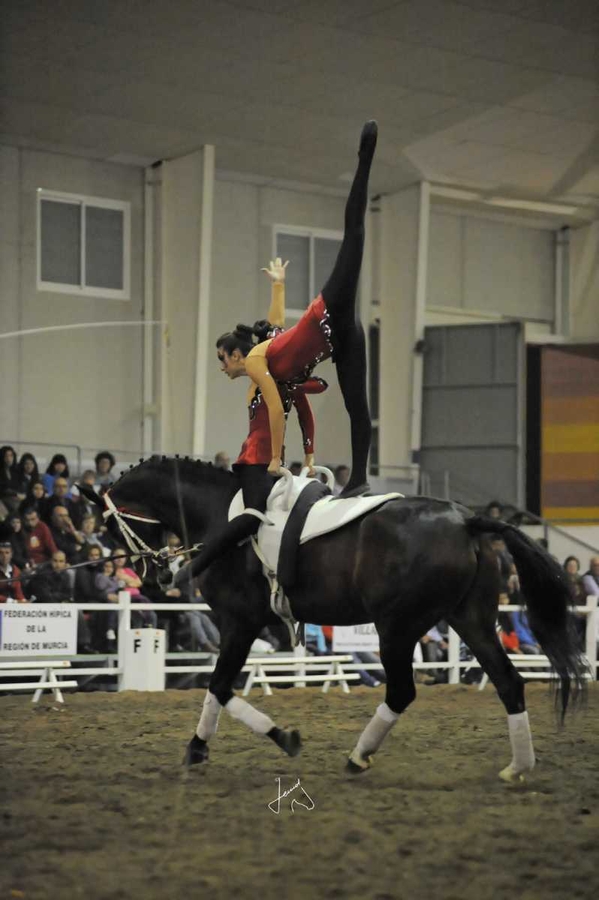 14th to 17th March, EQUIMUR Horse show, Torre Pacheco