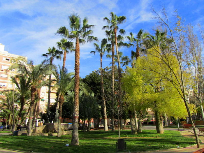 Jardín del Salitre, Murcia