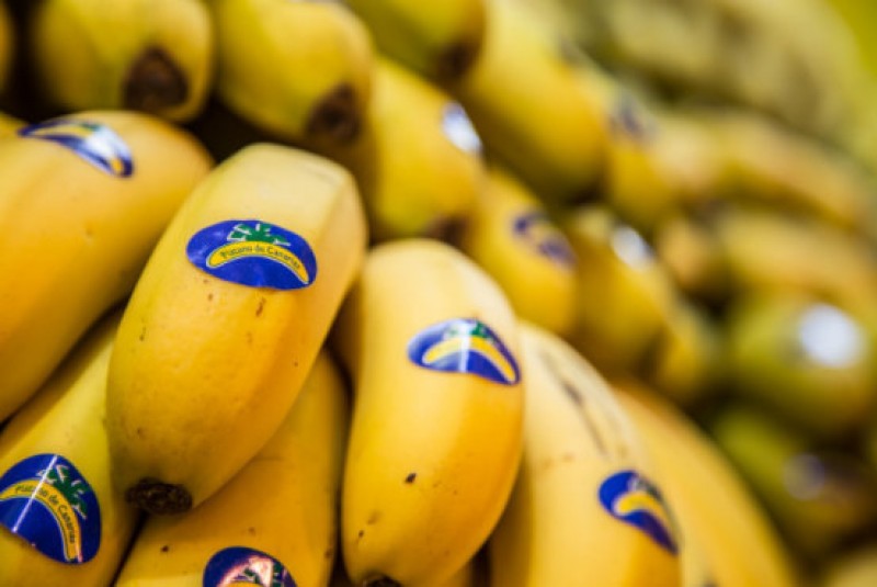 <span style='color:#780948'>ARCHIVED</span> - Agriculturalists in the Canaries are weighed down by their own banana mountain
