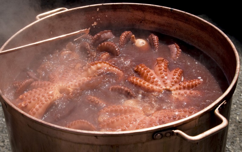 Tapas to try in the Region of Murcia: octopus