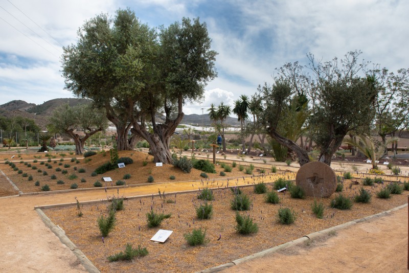 Mastia botanical educational garden in Mazarron