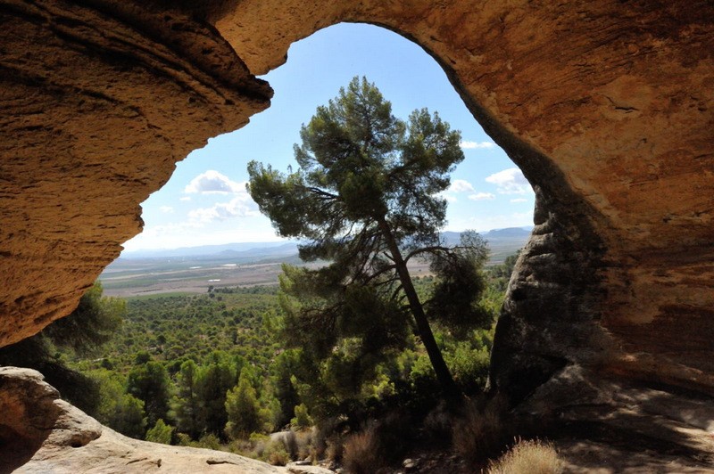 10th June guided visit of Monte Arabi prehistoric rock art and bodega in Yecla
