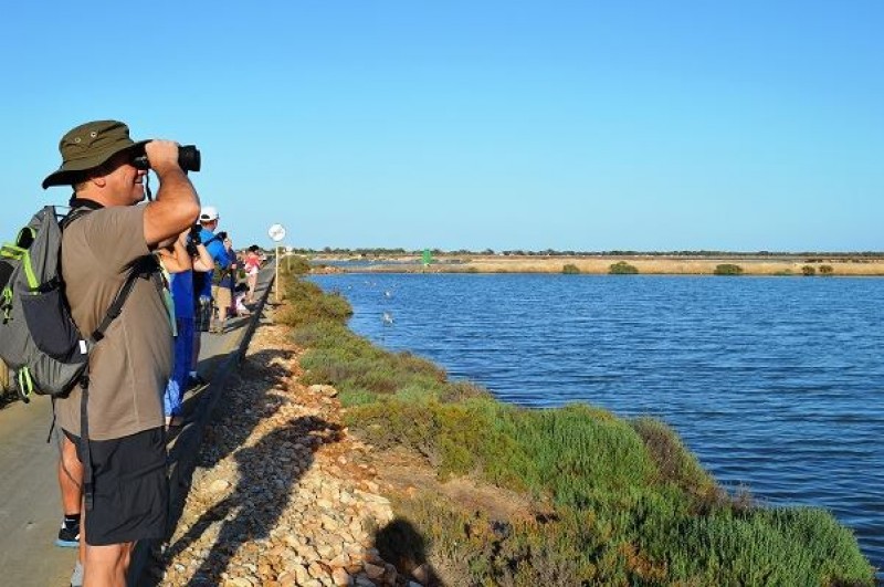 Guided tours and walks available now in the Murcia Region (cultural and active)