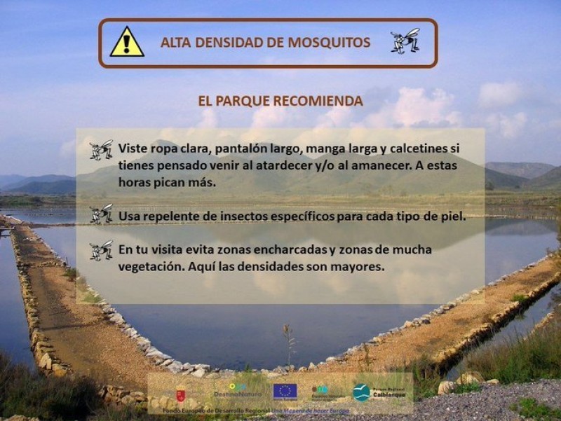 <span style='color:#780948'>ARCHIVED</span> - Mosquito warning in Calblanque regional park after gota fría storm