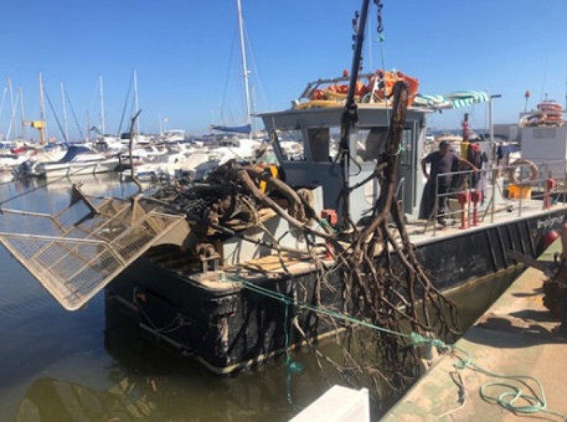 <span style='color:#780948'>ARCHIVED</span> - Mar Menor clean-up goes on after Gota Fría flooding
