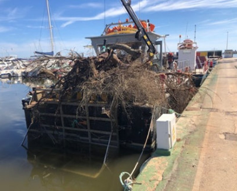<span style='color:#780948'>ARCHIVED</span> - 25 rubbish containers among flood debris removed from the Mar Menor