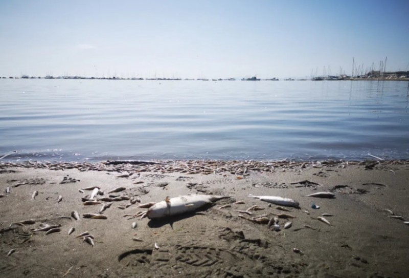 <span style='color:#780948'>ARCHIVED</span> - Pioneering Mar Menor protection legislation was passed 32 years ago but later scrapped