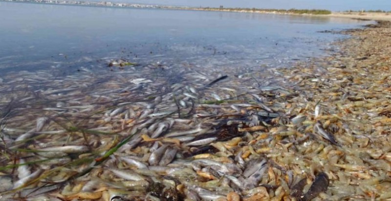 Minister tells the Murcia government to enforce existing laws to protect the Mar Menor