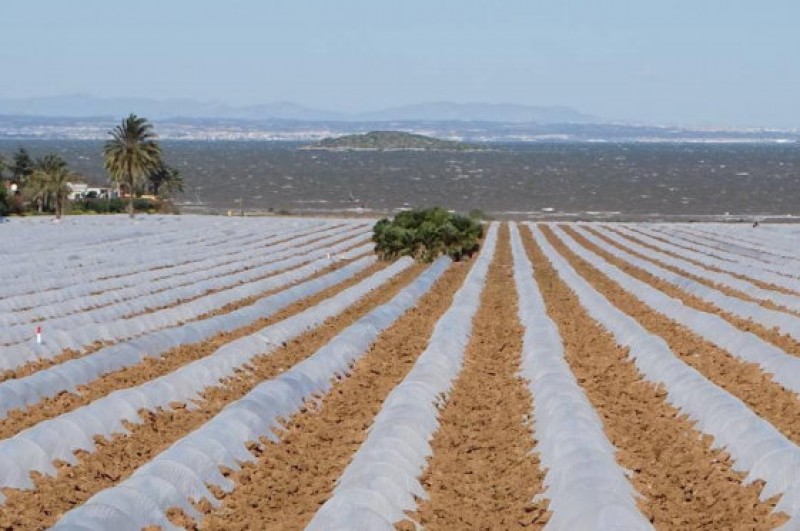 <span style='color:#780948'>ARCHIVED</span> - 1,600 hectares of unauthorized irrigation farming identified in the Campo de Cartagena