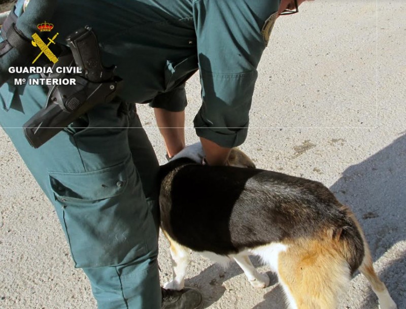 <span style='color:#780948'>ARCHIVED</span> - Two arrested in Mazarrón after shooting dogs with pellet guns