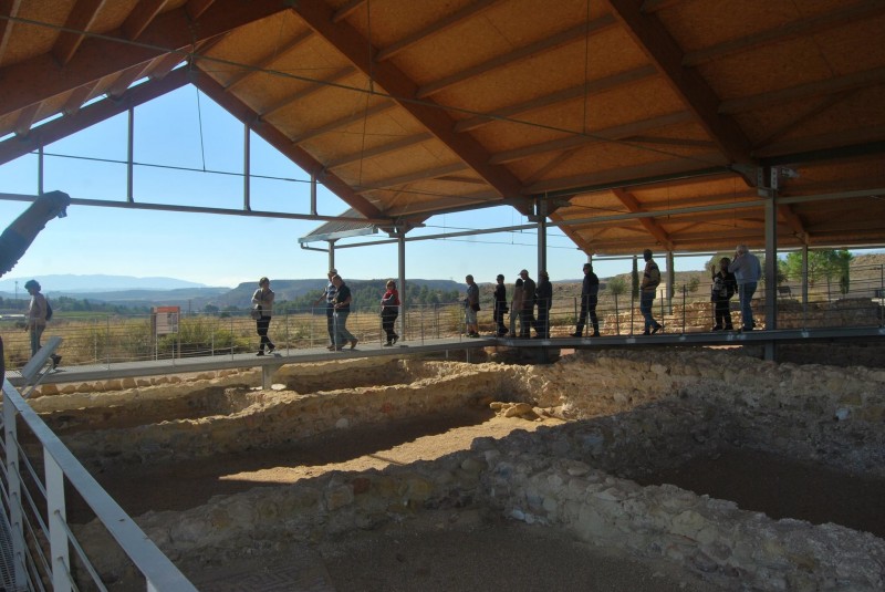 <span style='color:#780948'>ARCHIVED</span> - Sunday 24th November Free guided tour of Villaricos Roman Villa site in Mula