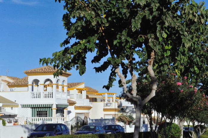 Orientation in the Pilar de la Horadada municipality