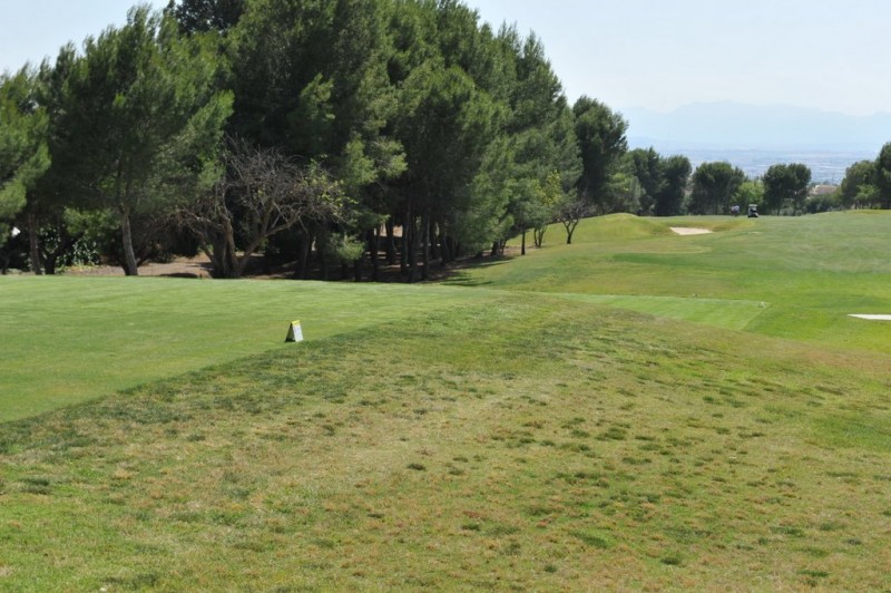 Altorreal golf course in Molina de Segura