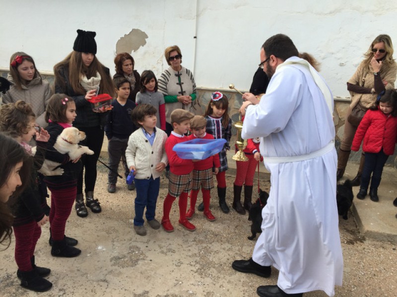 <span style='color:#780948'>ARCHIVED</span> - 12th to 26th January, Fiestas of San Antonio Abad in Santa Rosalia Torre Pacheco