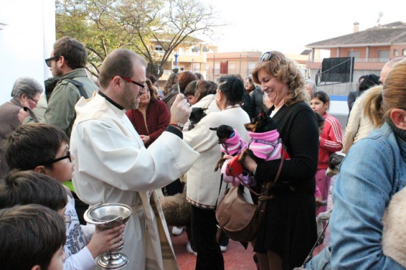 <span style='color:#780948'>ARCHIVED</span> - Friday 17th January blessing of the animals in Mazarrón for San Antón