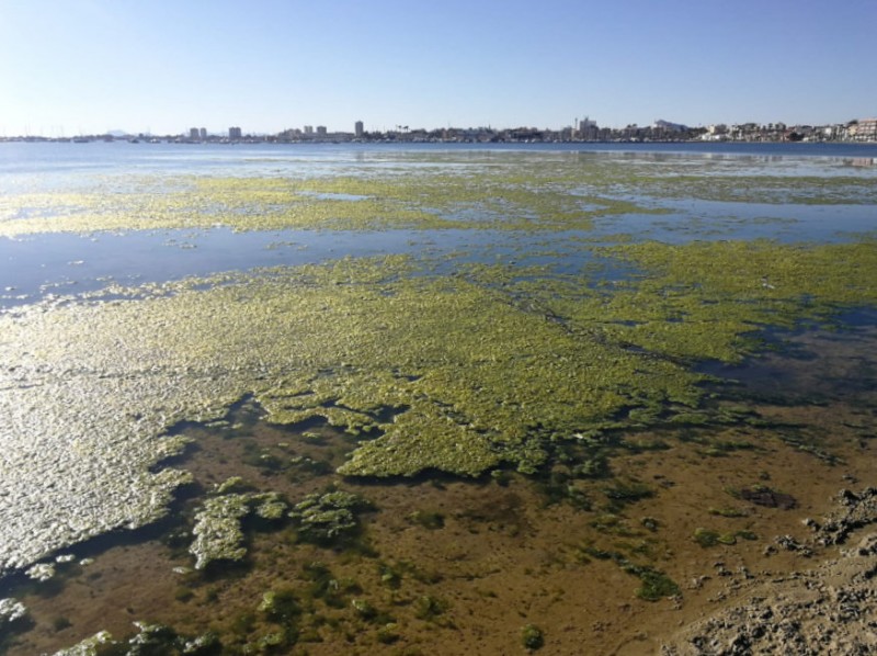SOS Mar Menor proposes the creation of a Regional Park to protect the lagoon