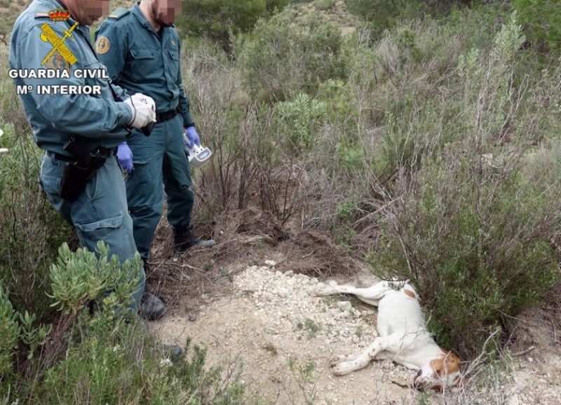 Five charged with setting illegal animal traps in the mountains of central and northern Murcia