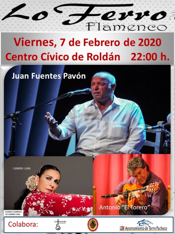 <span style='color:#780948'>ARCHIVED</span> - Friday 7th February Winter flamenco gala, Civic Centre Roldán