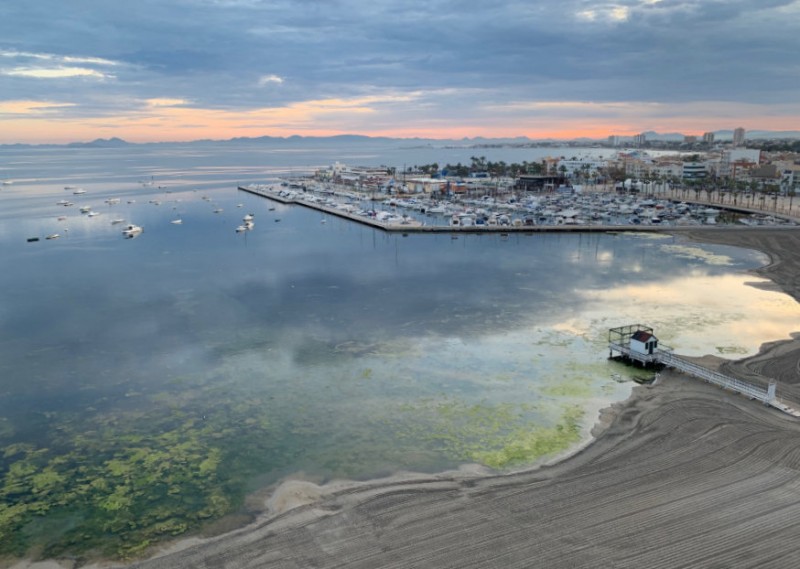 Green algae removed from the northern shore of the Mar Menor