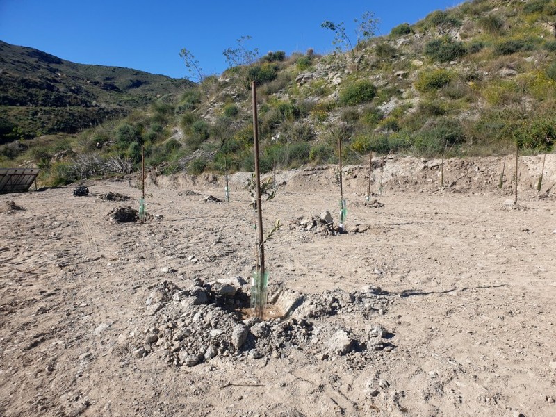 <span style='color:#780948'>ARCHIVED</span> - Bremaining in Spain because we love it here