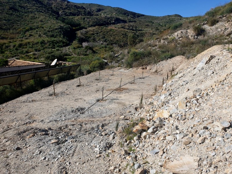 <span style='color:#780948'>ARCHIVED</span> - Bremaining in Spain because we love it here