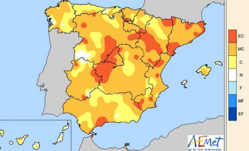 <span style='color:#780948'>ARCHIVED</span> - Gota fría storms made 2019 the wettest year on record in parts of Murcia