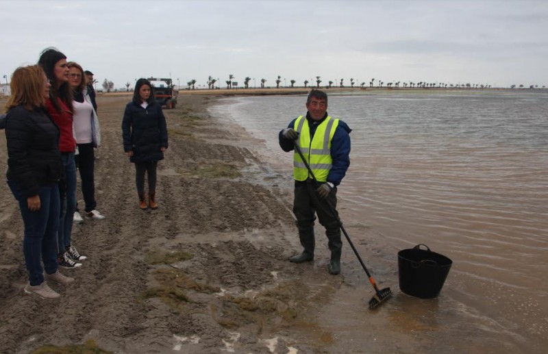 34 tons of biomass removed recently from the beaches of San Pedro del Pinatar