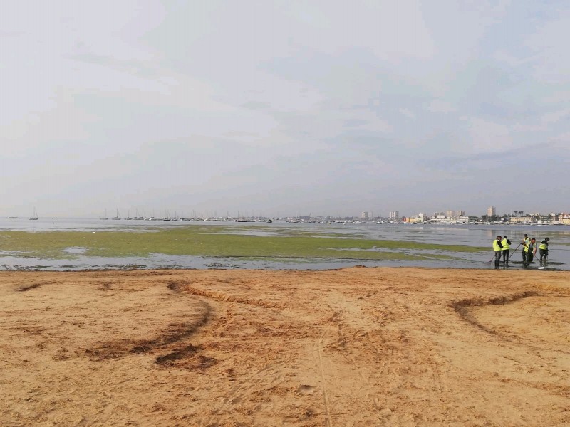 <span style='color:#780948'>ARCHIVED</span> - Murcia government reiterates that the Mar Menor is completely safe for bathing