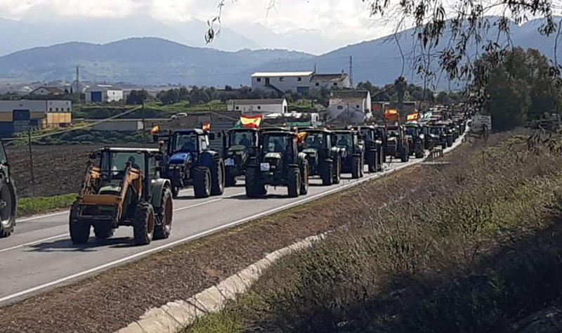 Traffic disruption inevitable in Murcia on Friday as protesting farmers gather with 250 tractors