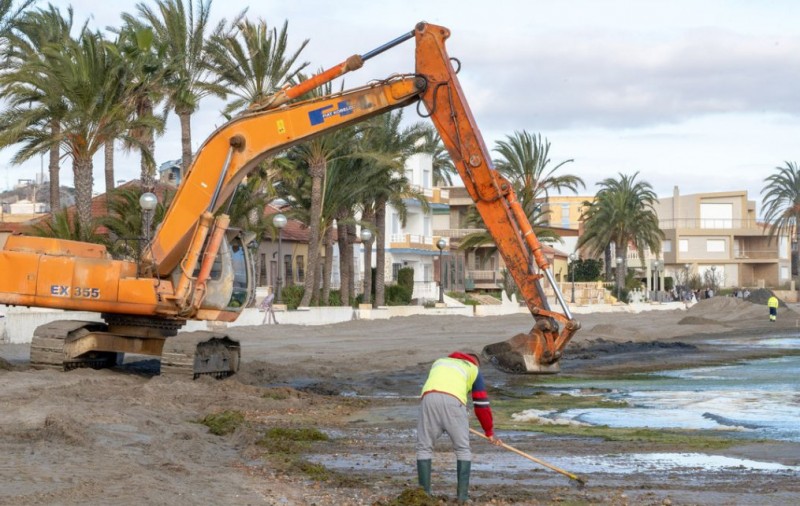 <span style='color:#780948'>ARCHIVED</span> - 175 tons of seaweed and vegetation removed from beaches in the southern Mar Menor