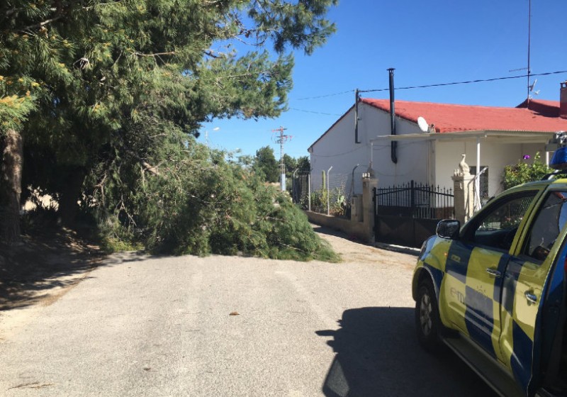 <span style='color:#780948'>ARCHIVED</span> - San Javier the warmest place in Spain on Monday as trees were felled by gale force winds