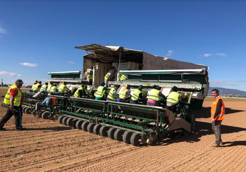 <span style='color:#780948'>ARCHIVED</span> - Lack of temporary workers causes concern for farmers as the stone fruit season begins