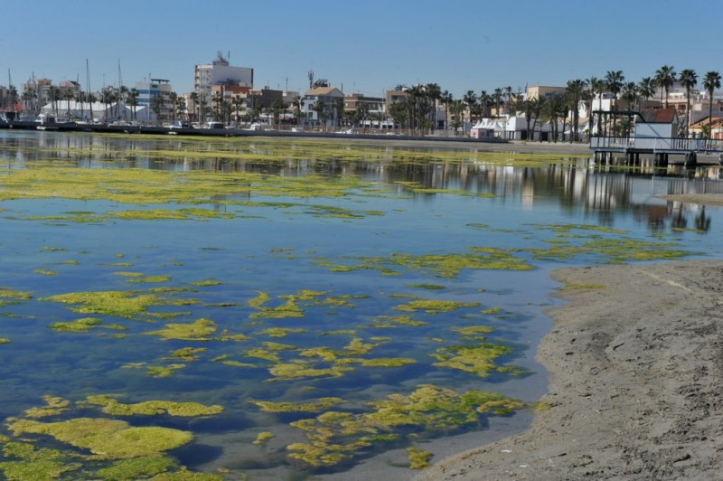 Murcia government warns of deterioration in the Mar Menor after recent heavy rain