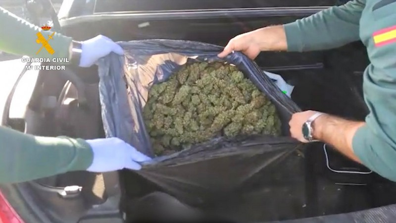 <span style='color:#780948'>ARCHIVED</span> - Nice haul of marijuana at lockdown checkpoint