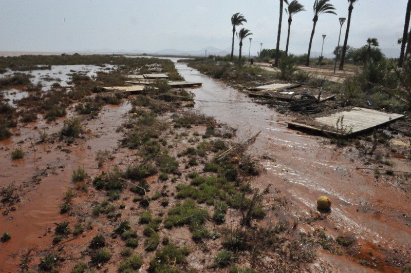 <span style='color:#780948'>ARCHIVED</span> - Reforestation plan to minimize runoff in the Mar Menor