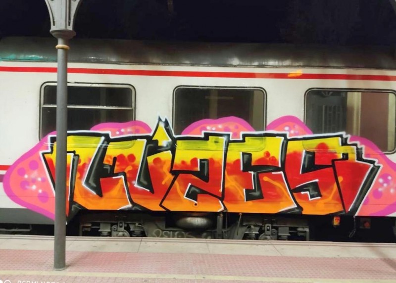 <span style='color:#780948'>ARCHIVED</span> - Lorca police catch train graffitists in the act