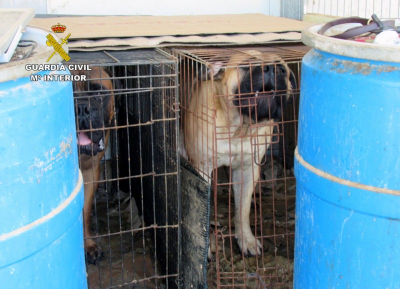 <span style='color:#780948'>ARCHIVED</span> -  Investigation into Mazarrón kennels discovered shocking neglect