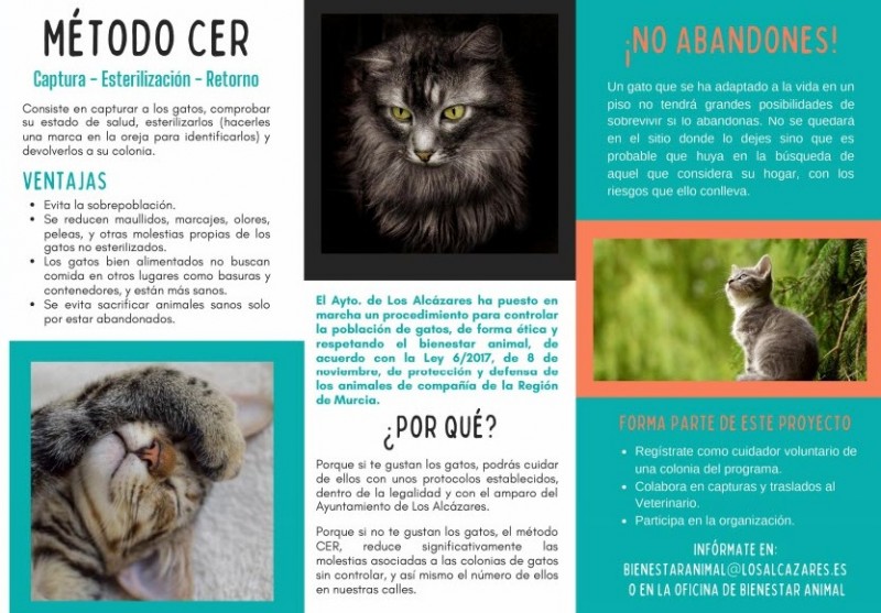 <span style='color:#780948'>ARCHIVED</span> - Los Alcázares Council promotes plan to manage feral cat colonies